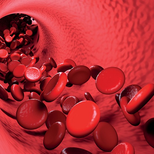 immagine Tumori del sangue: nuovi anticorpi
